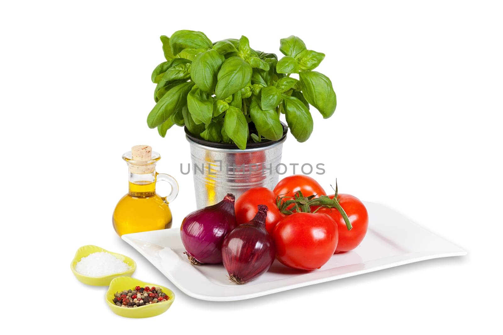 Ingredients for a tomato salad with basil isolated against a white background