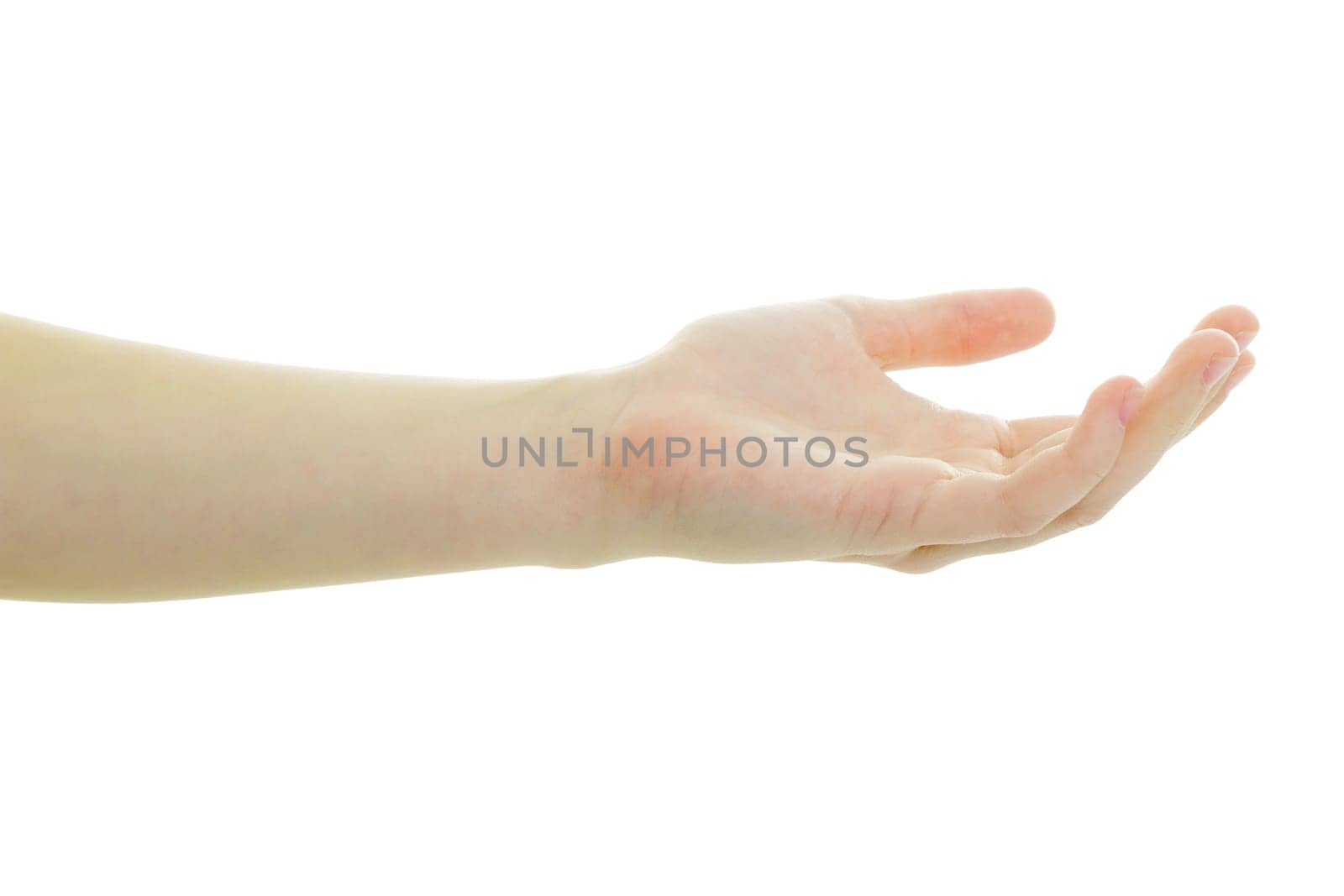 Hand of the girl palm up on a white background