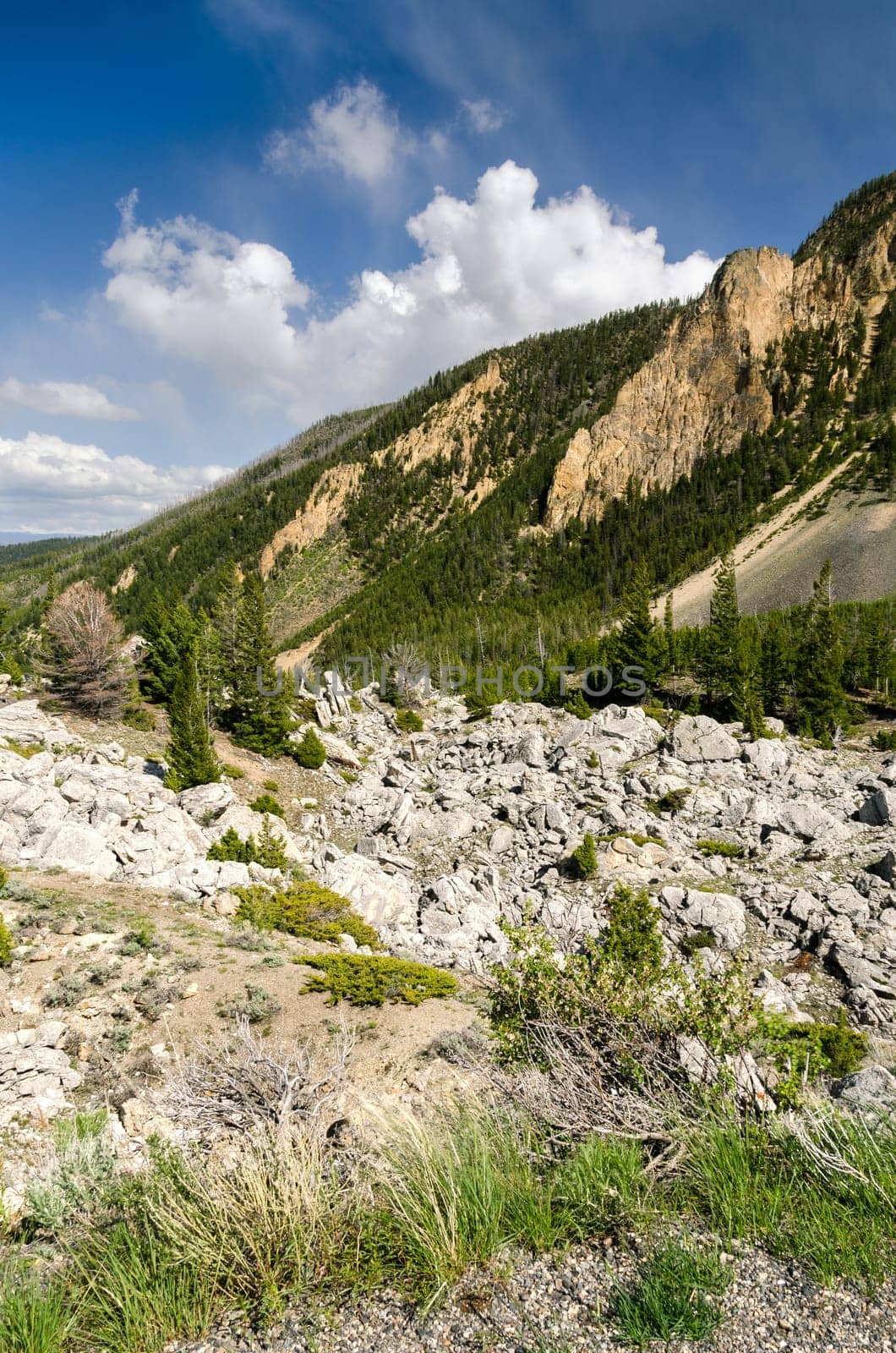 mountains in Yellowstone National Park in Wyoming