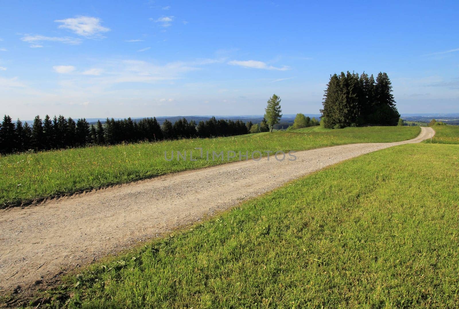A path in Bavaria