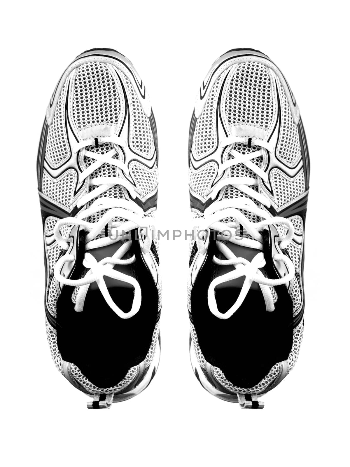 Sports runners situated in a shoe box