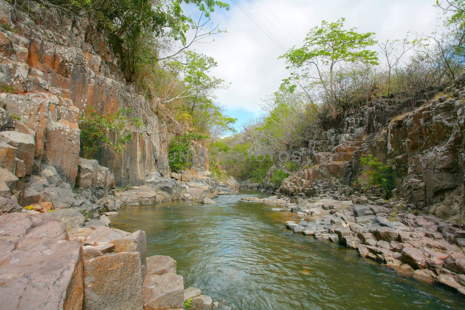 Stream in the tropical forest.