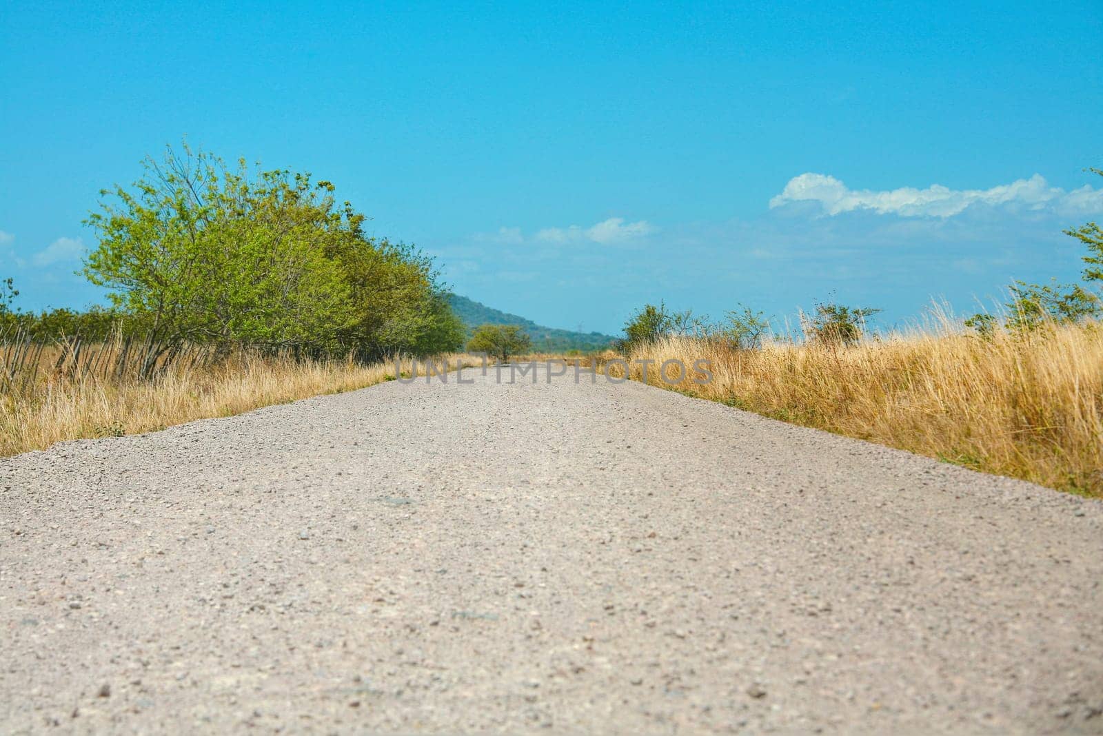 Off-road track in country