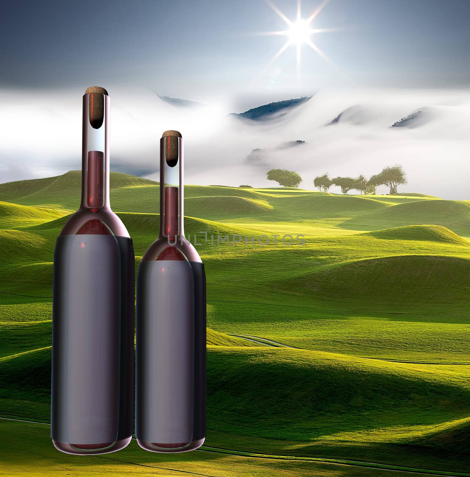 Wine bottle with nice view for adv or others purpose use