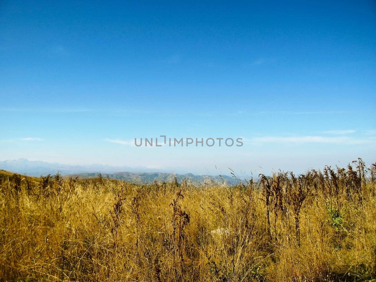 Caucasus landscape and autumn nature in daylight