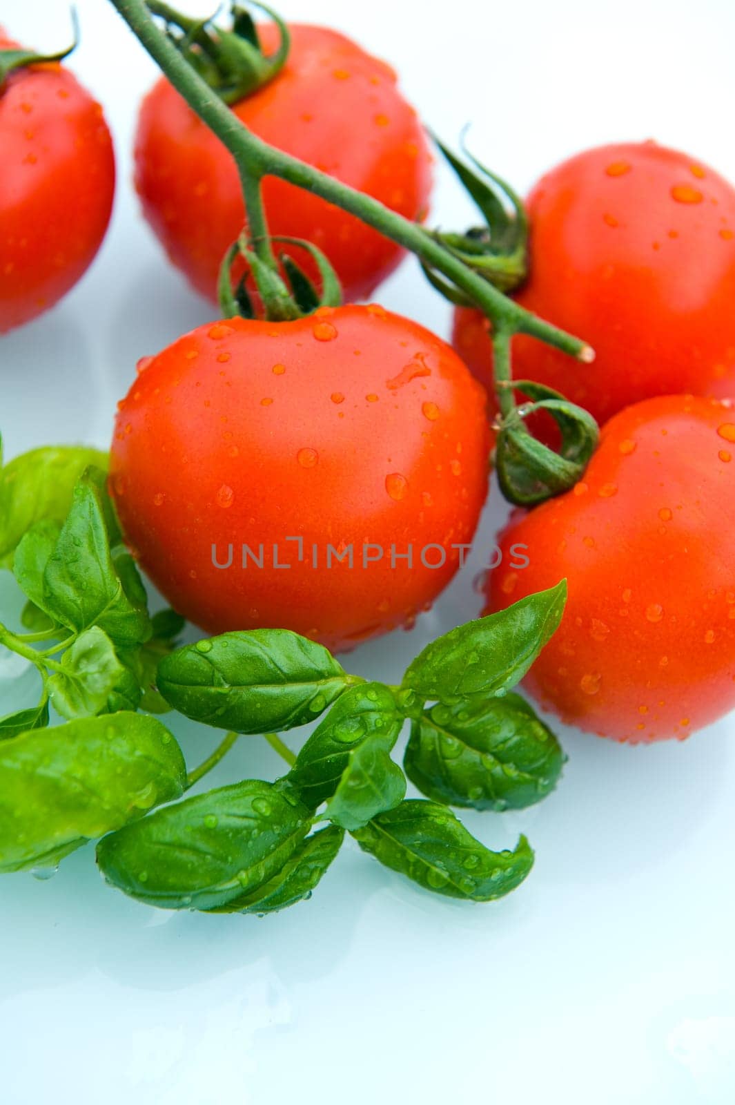 Tomatoes with basil