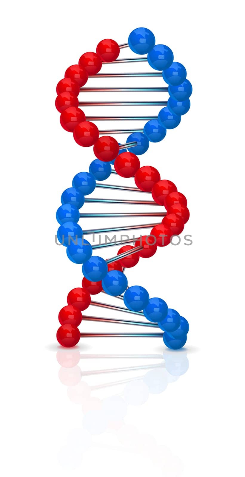 Dna illustration with reflection isolated on white background