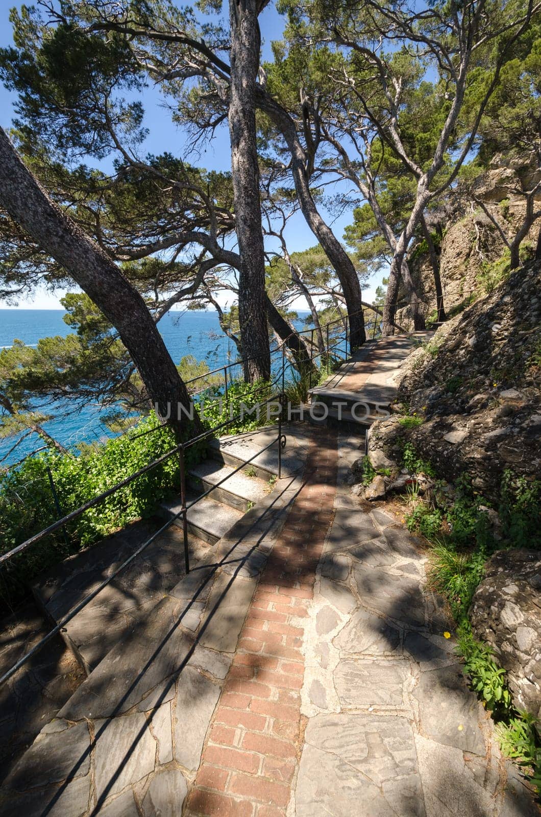 pedestrian street on the sea in Portofino