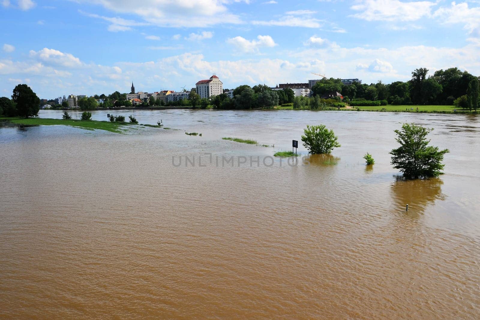 flooded landscape during flooding in Magdeburg