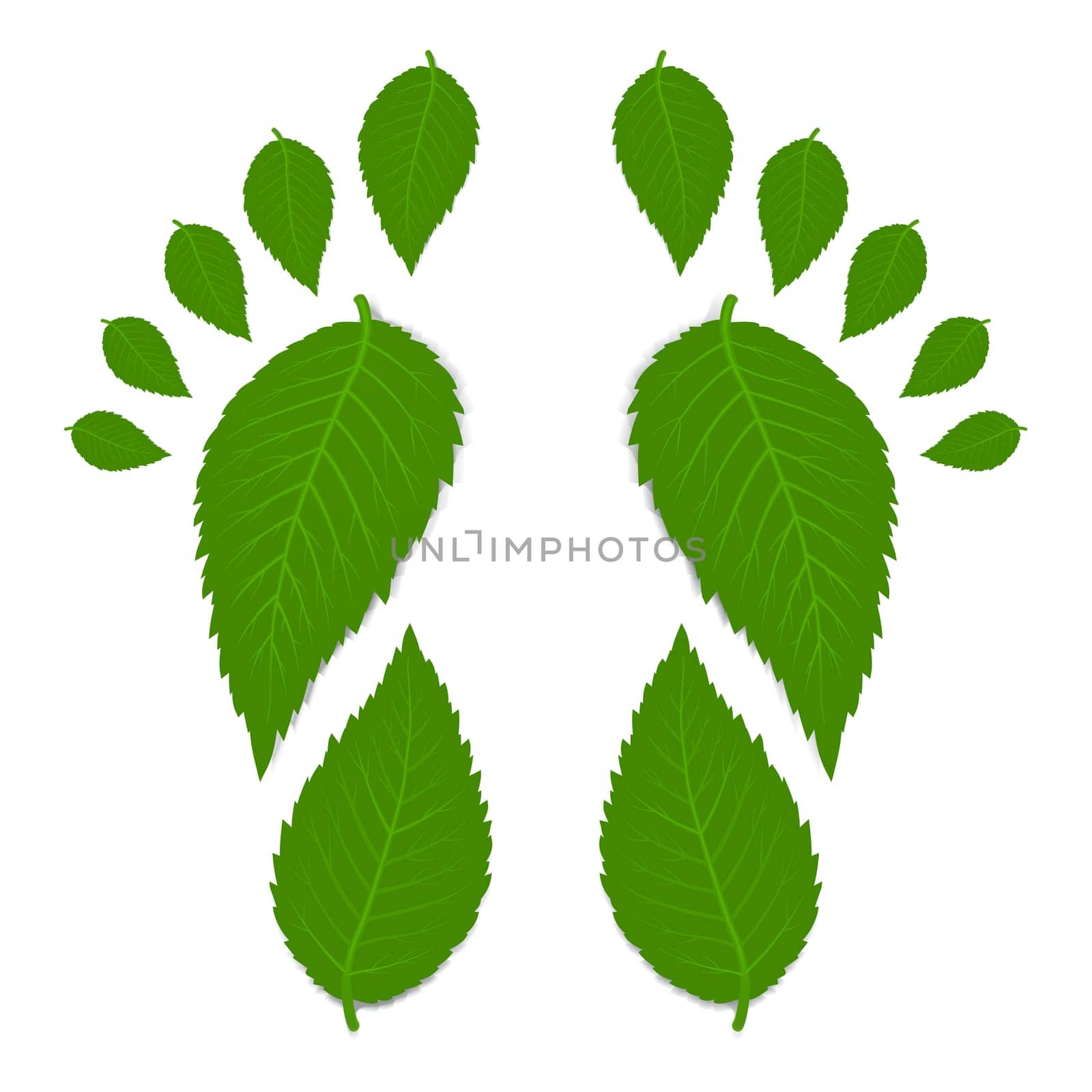 Green footprint made by leaves isolated on white with shadow. Vector illustration