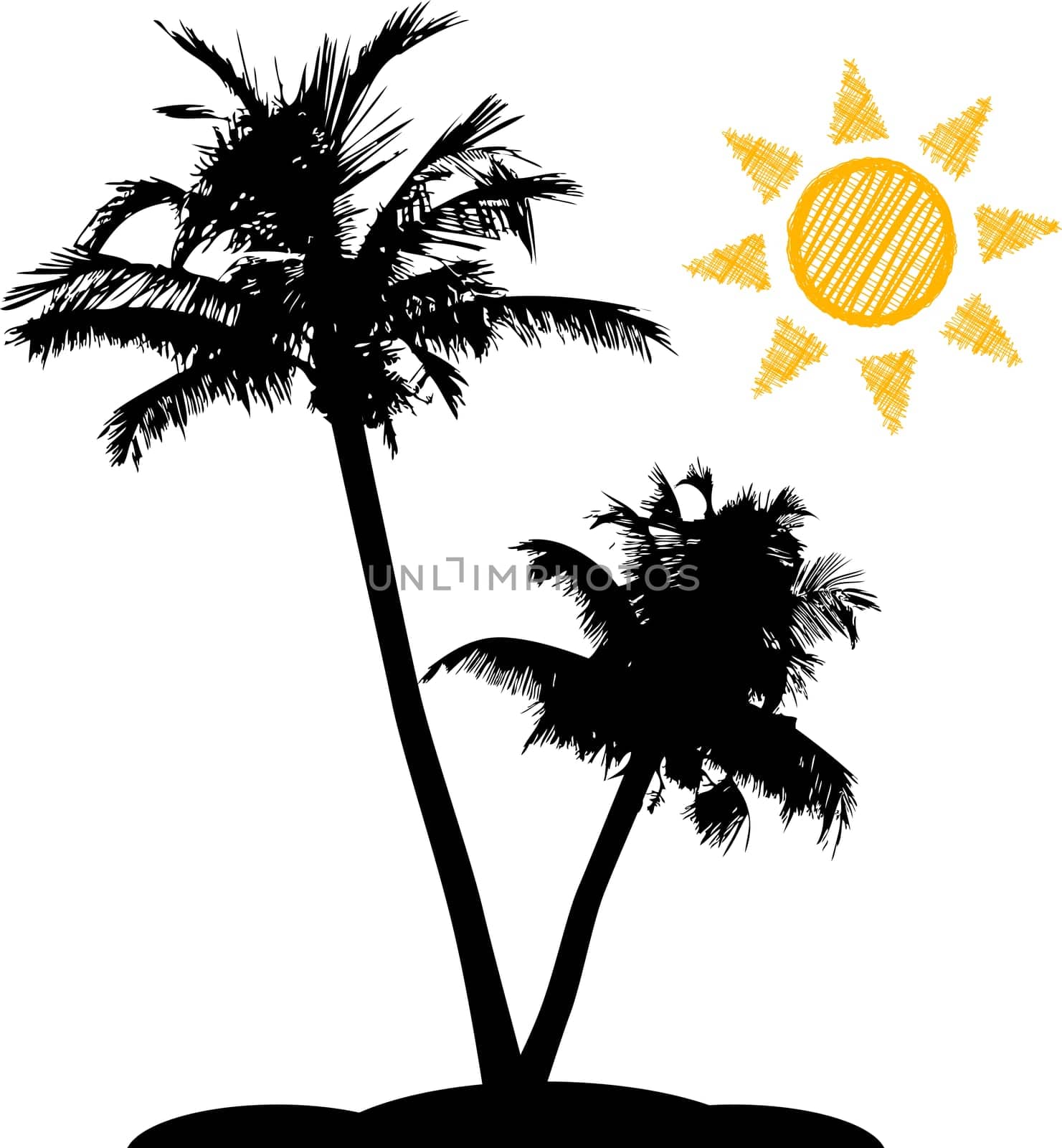 Palm trees with sun on white background