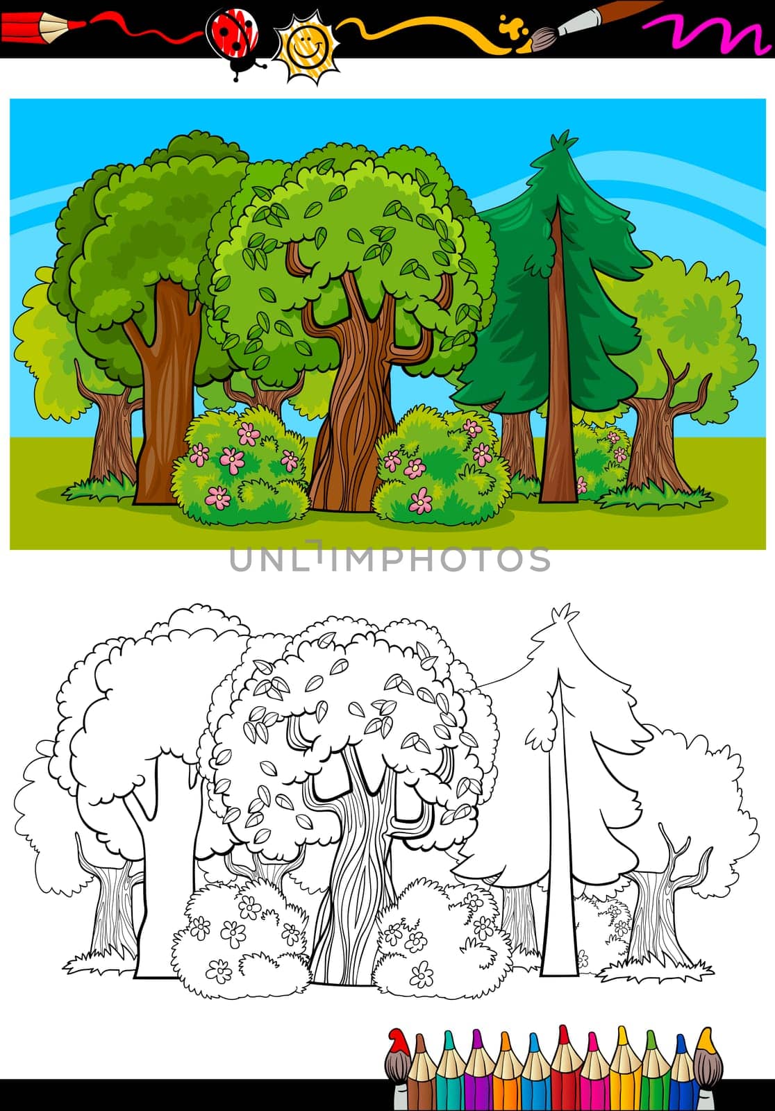 Coloring Book or Page Cartoon Illustration of Trees and Bushes in the Forest for Children Education