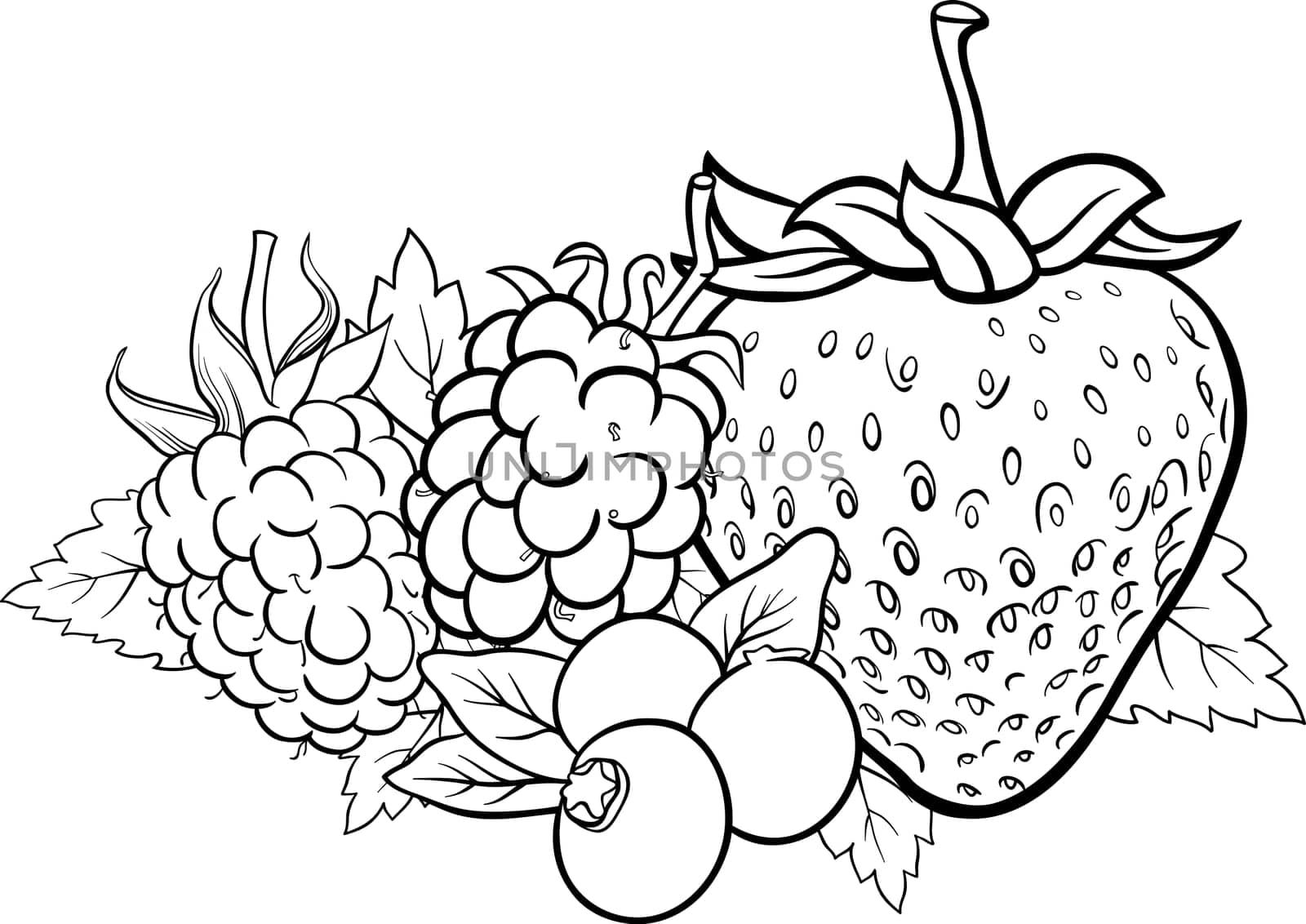 Black and White Cartoon Illustration of Four Berry Fruits like Blueberry and Blackberry and Raspberry and Strawberry Food Design for Coloring Book