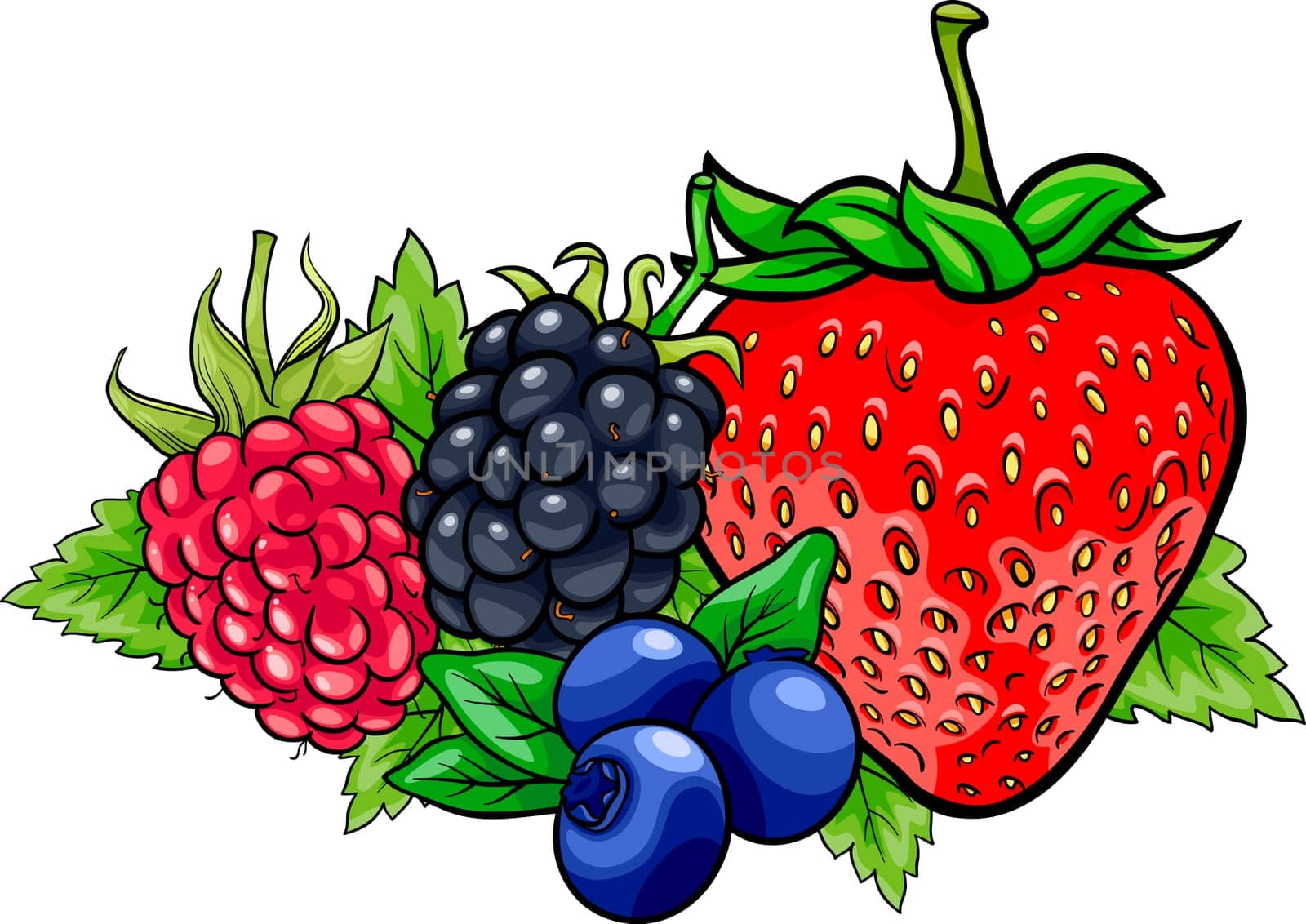 Cartoon Illustration of Four Berry Fruits like Blueberry and Blackberry and Raspberry and Strawberry Food Design