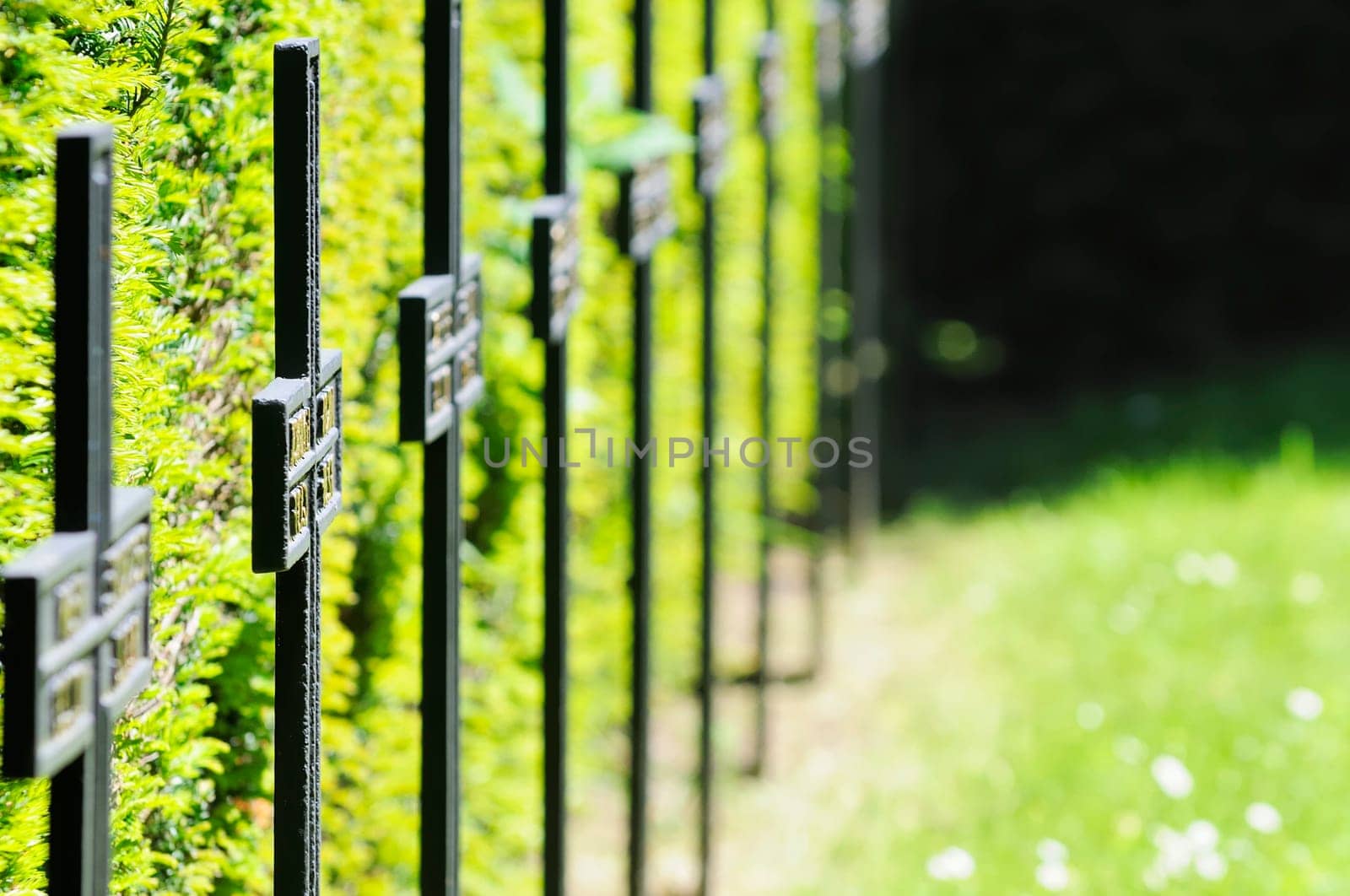 Dead cemetery