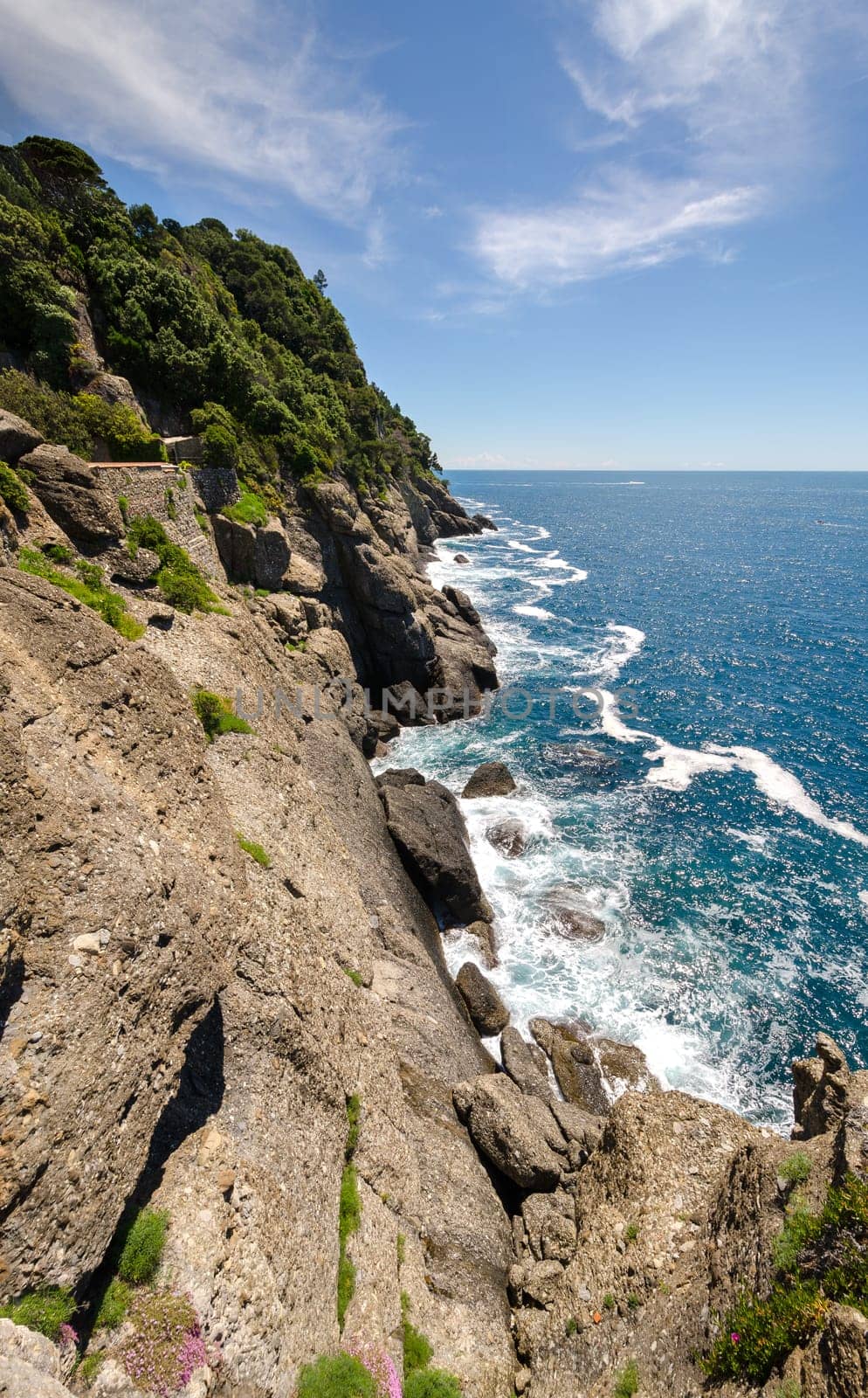 overview of the coast of Portofino in Liguria