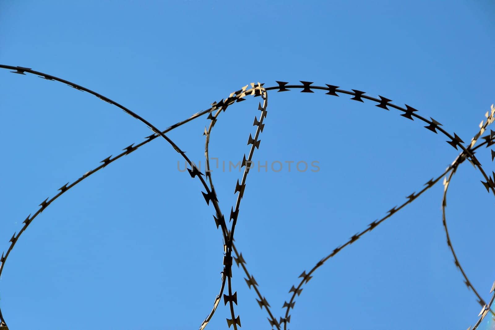 Barbed wire