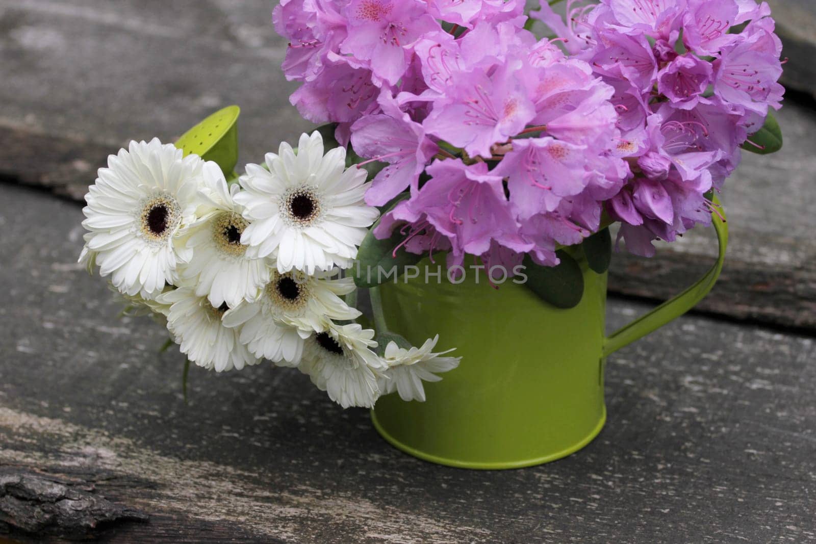 Flowers Garden Leisure Watering Can