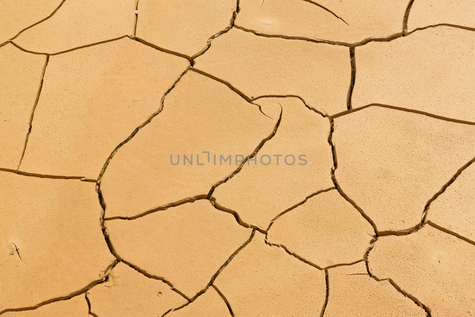 Close up of cracked ground. Global warming concept