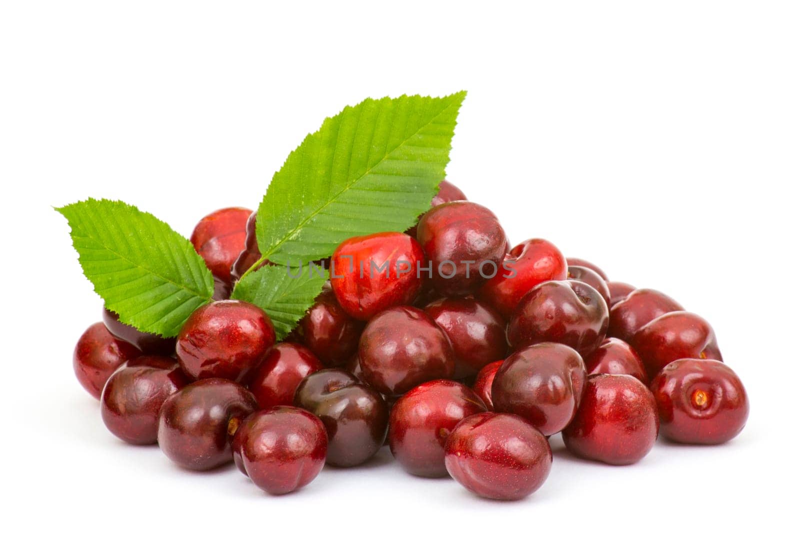 fresh cherries on white background