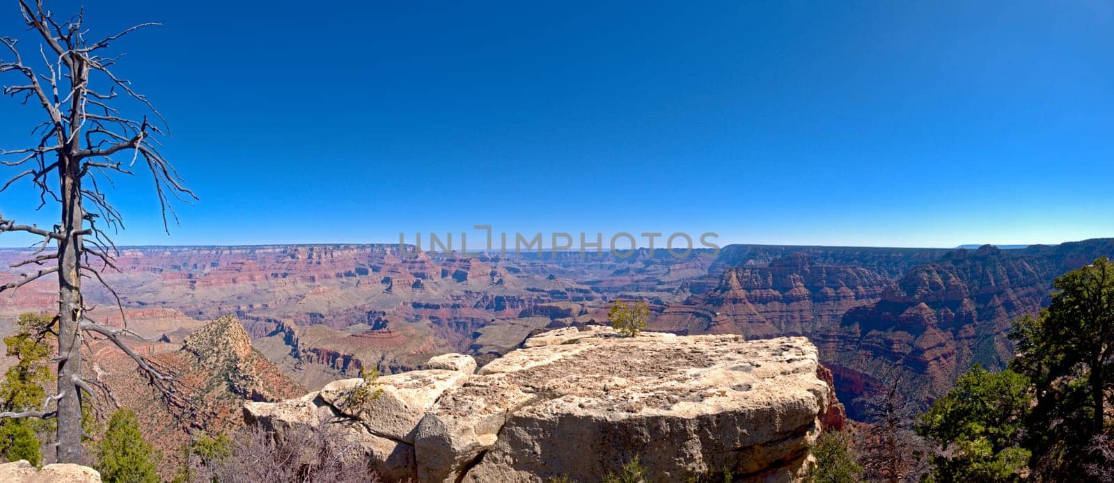 Panorama from the Grand Canyon