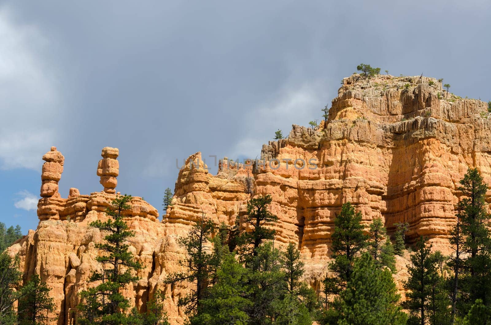 rocks in Red Canyon in Utah