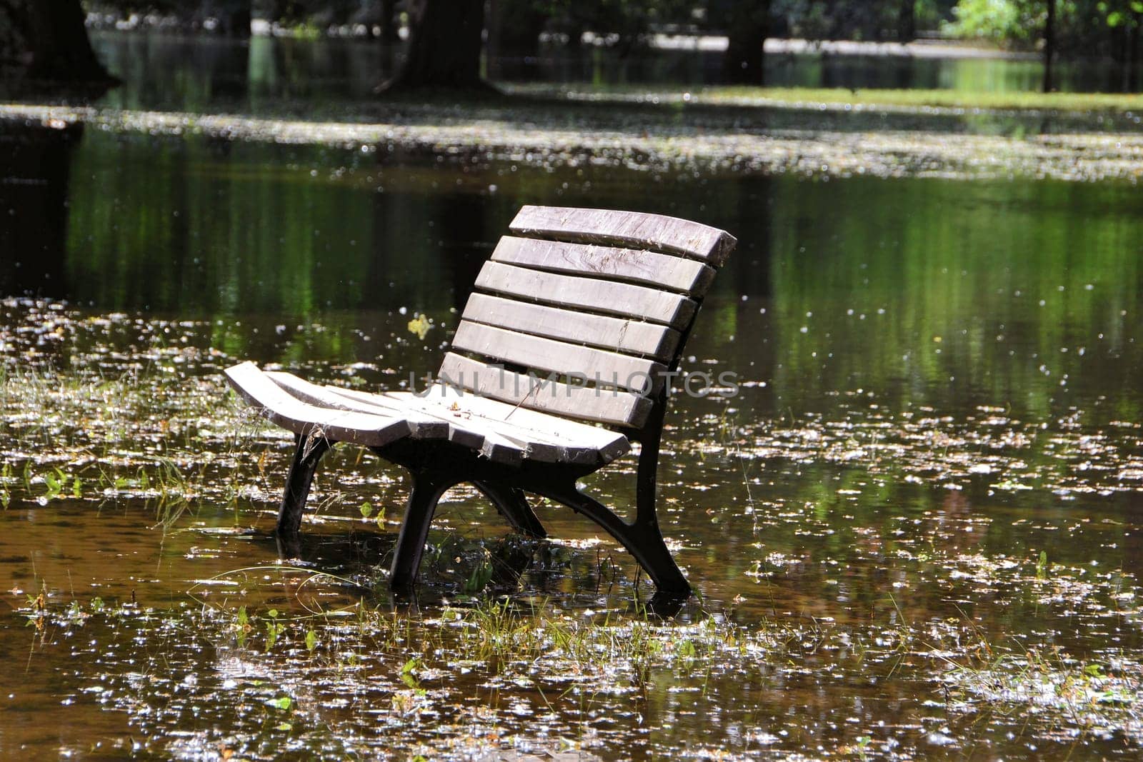 Flood