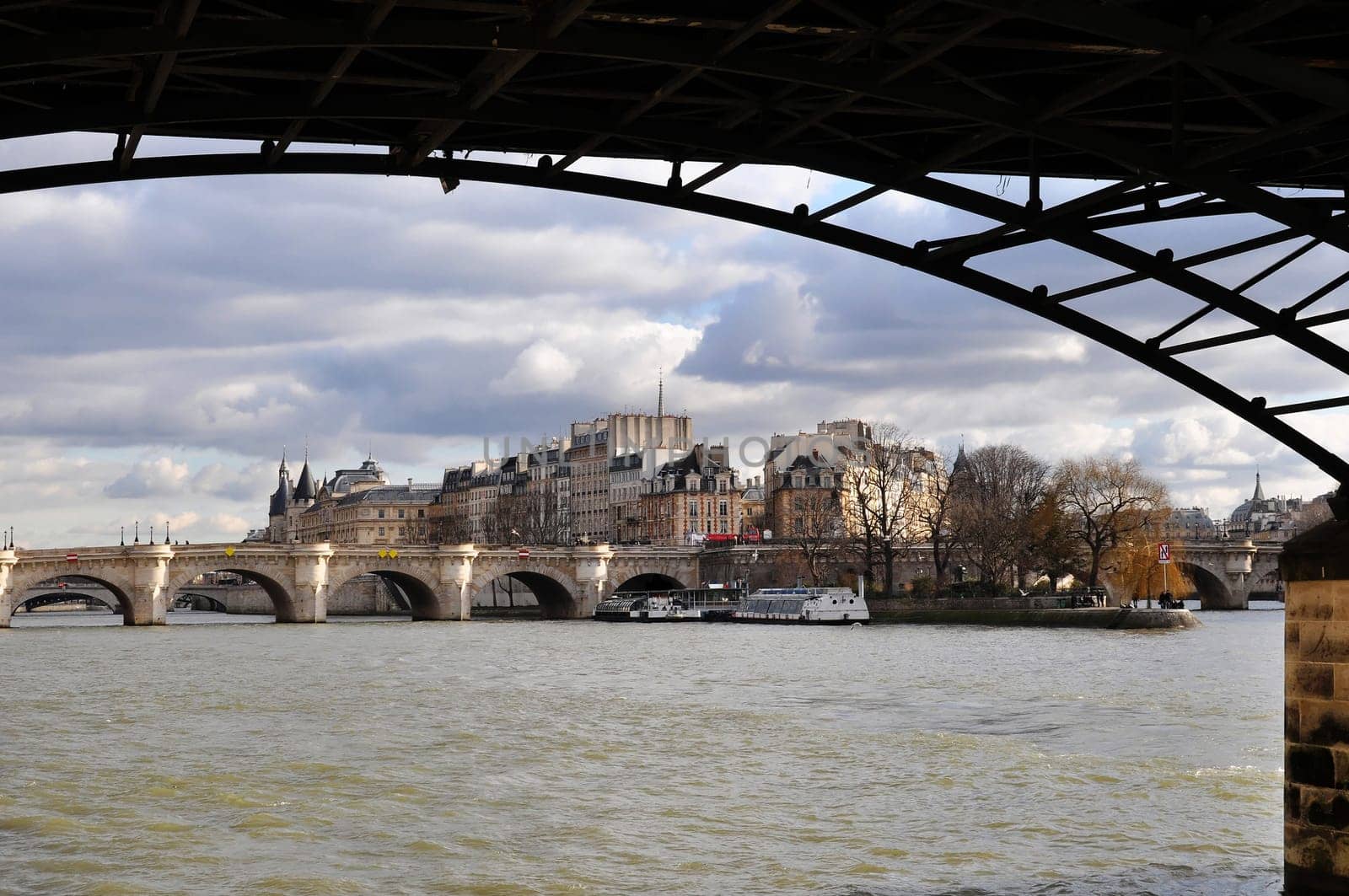 Ile de la Cité in Paris, France