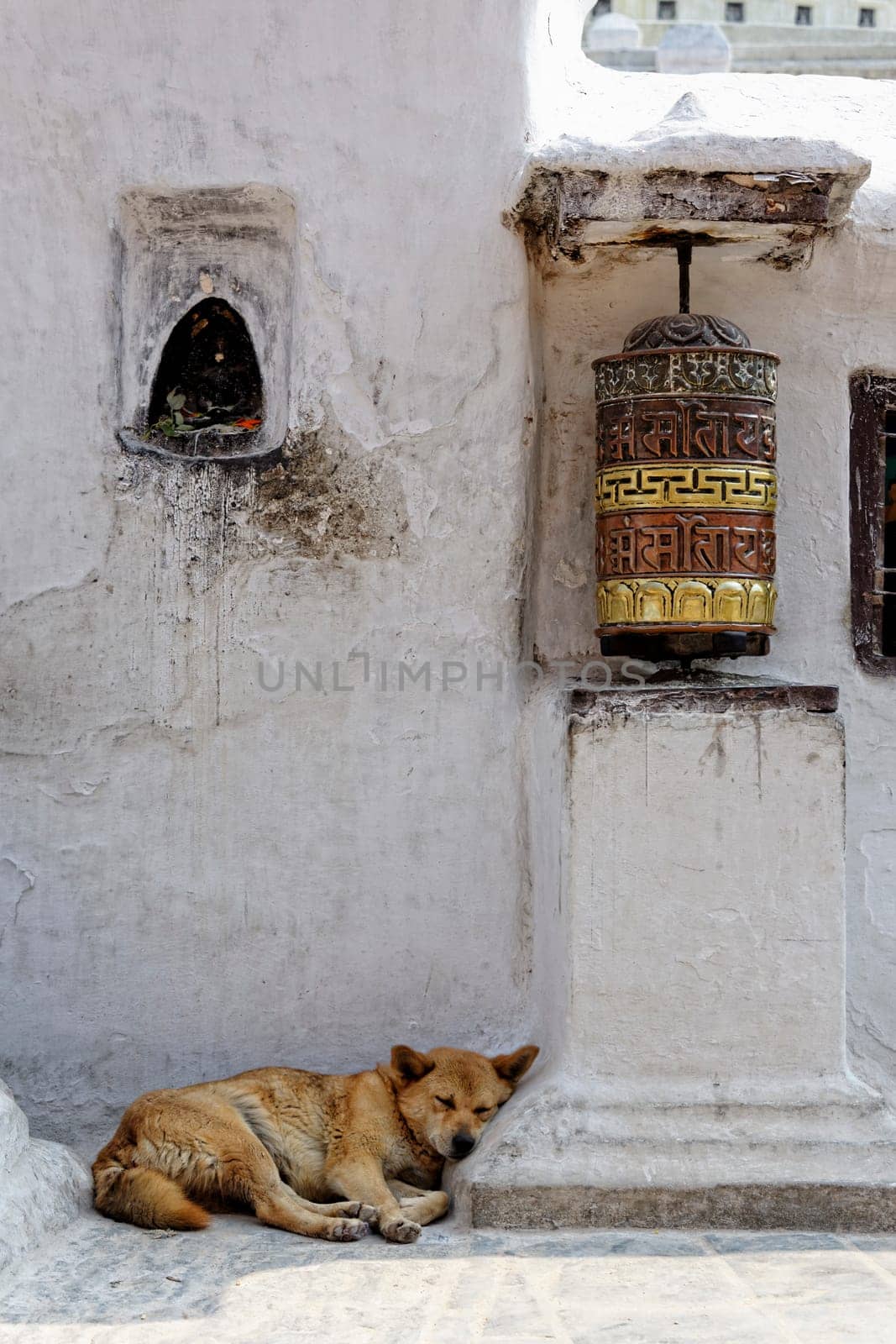 Prayer wheel and dog sleeping at Bothnath stupa in Kathmandu, Nepal