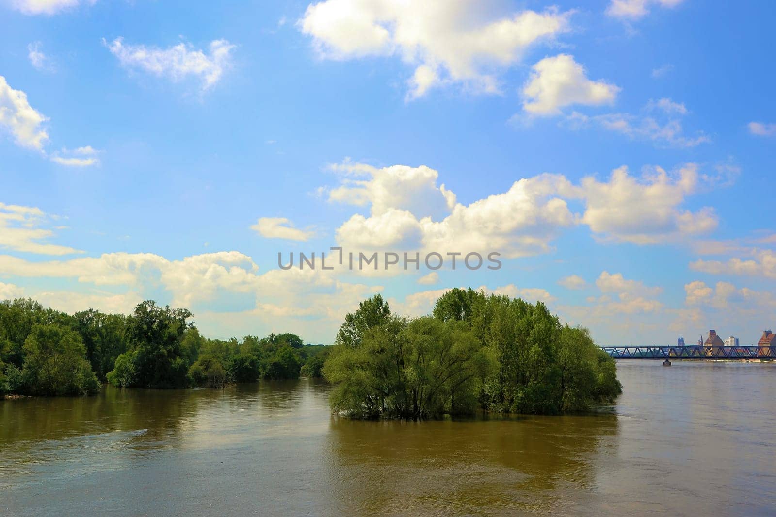 flooded landscape at high tide