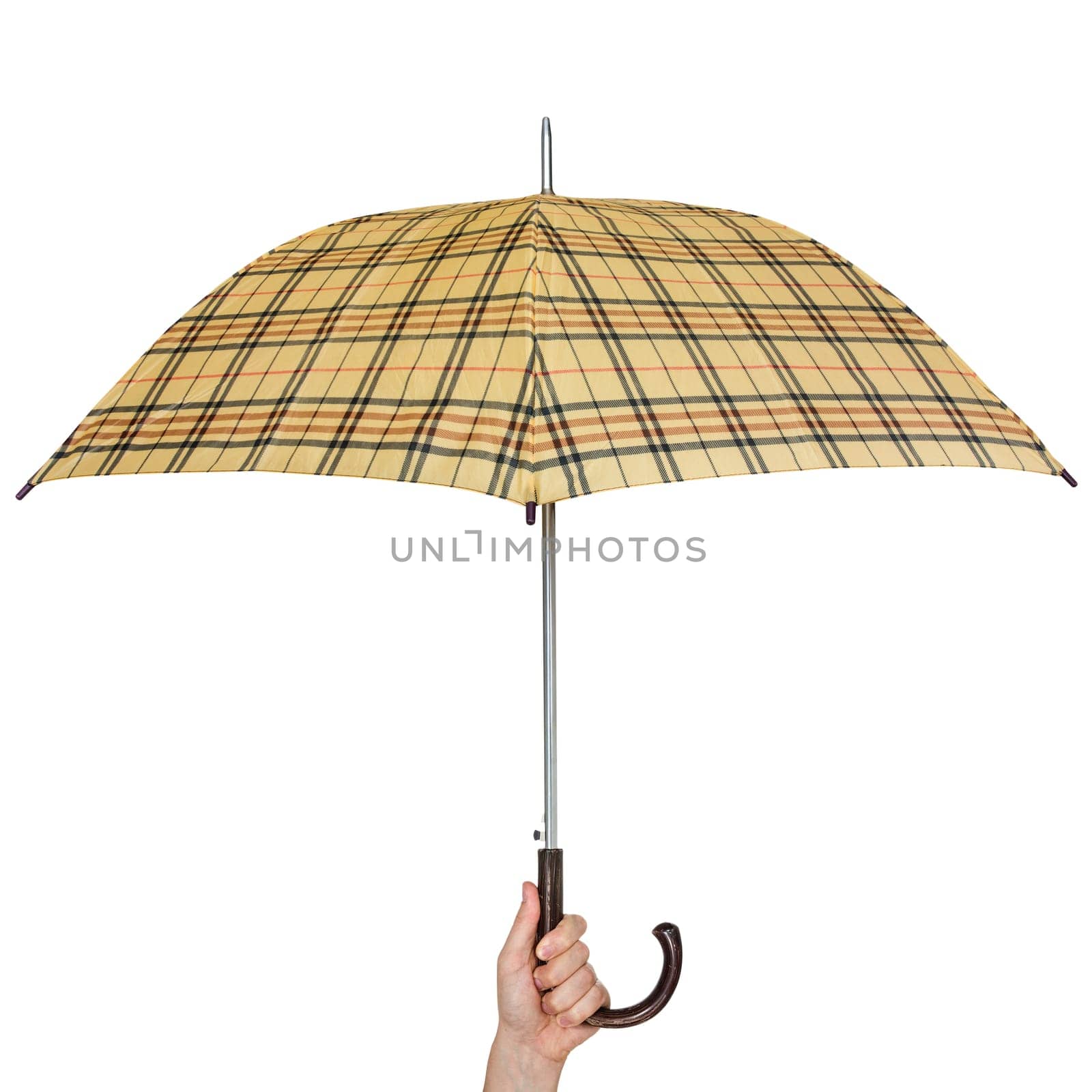 Opened umbrella in hand, isolated on white background