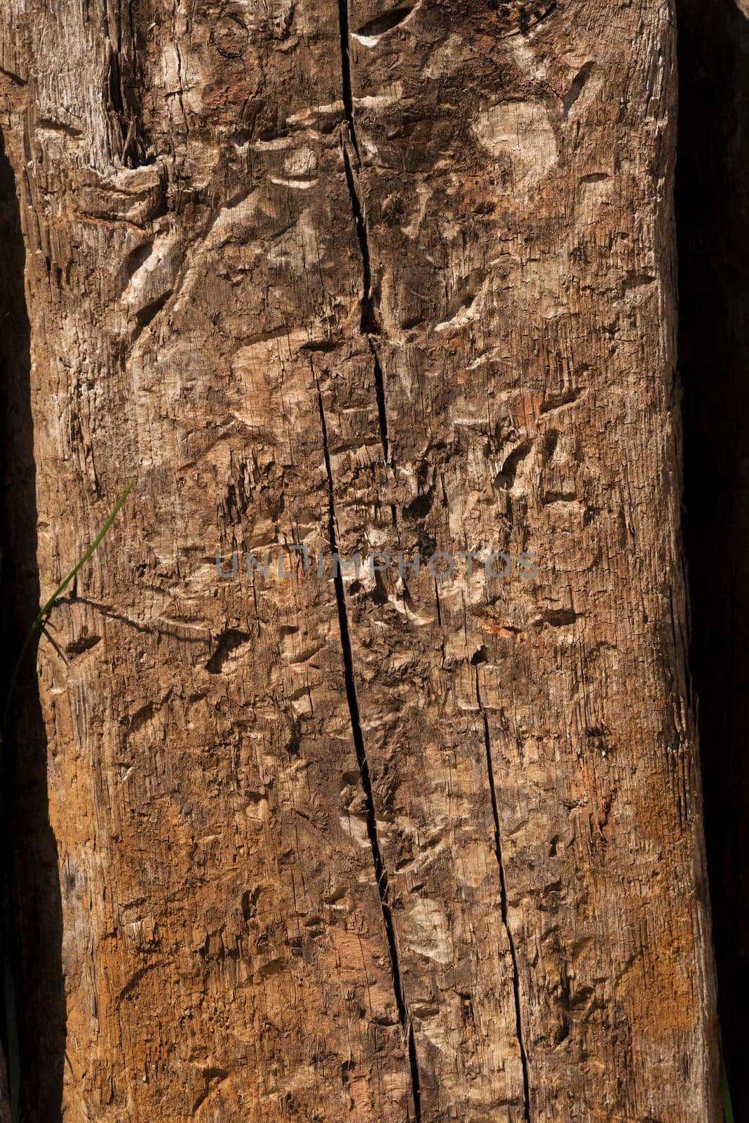 old wood texture for background