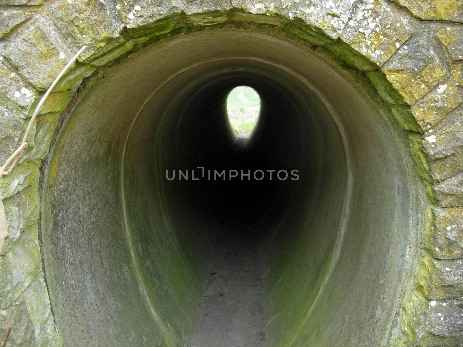 Wild tunnels