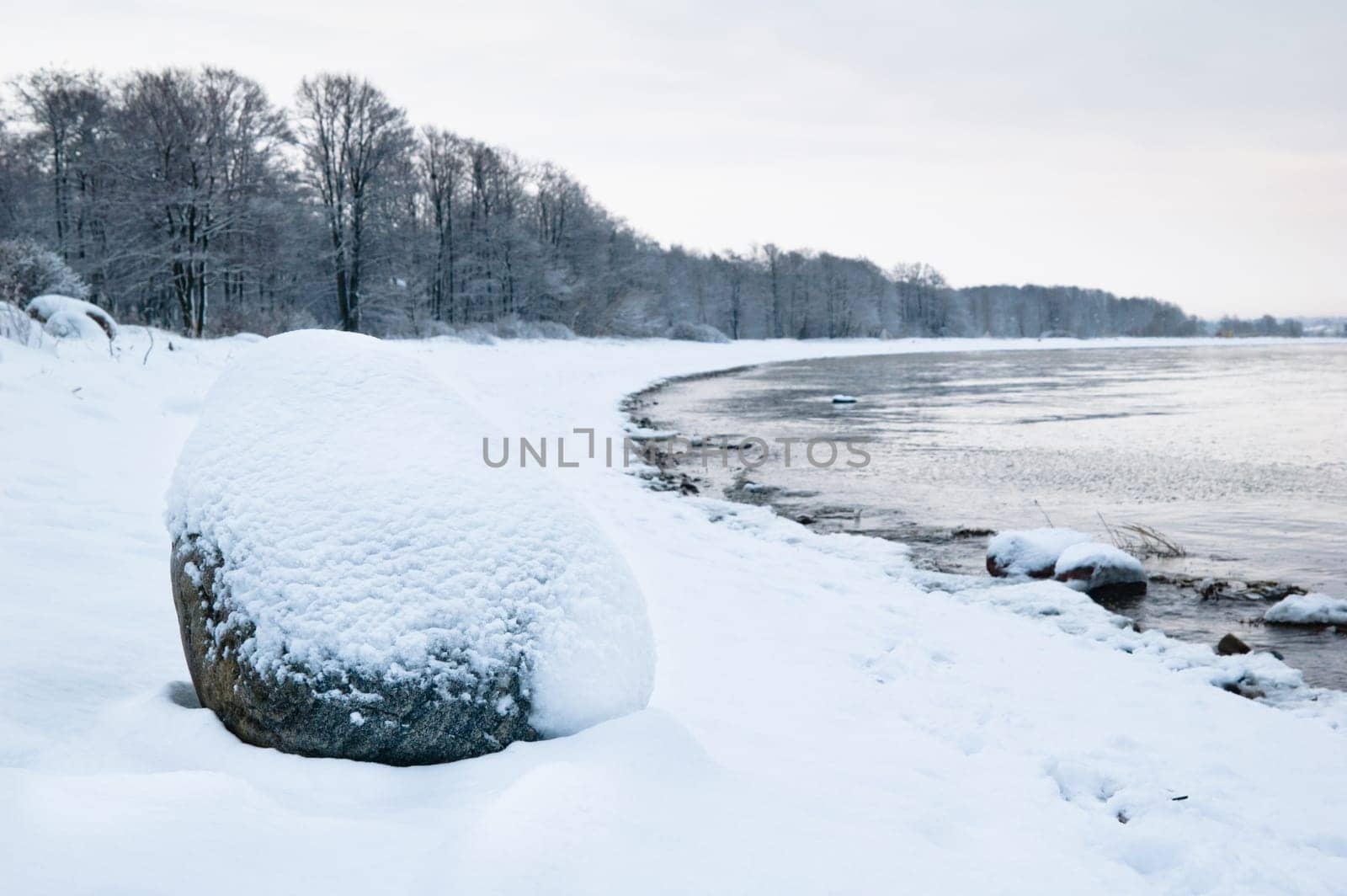 winter landscape on the shore of the Sea
