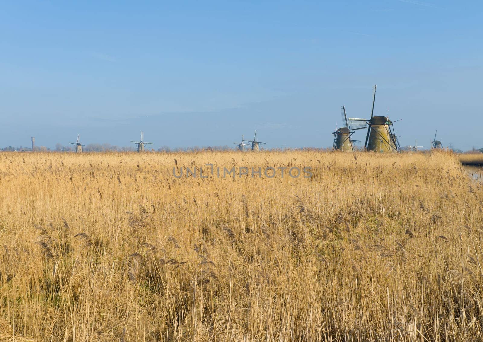 Dutch windmills in Kinderdijk, Netherlands. The windmills of Kinderdijk are one of the best known Dutch tourist sites. They have been a UNESCO World Heritage Site since 1997.