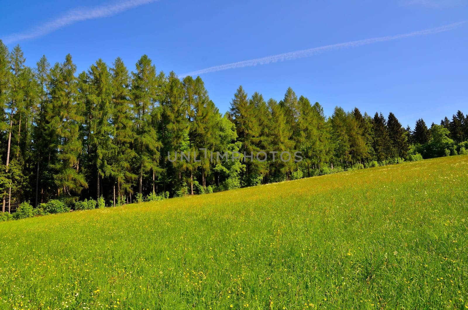 Landscape Clouds Meadow Bischofsgrün