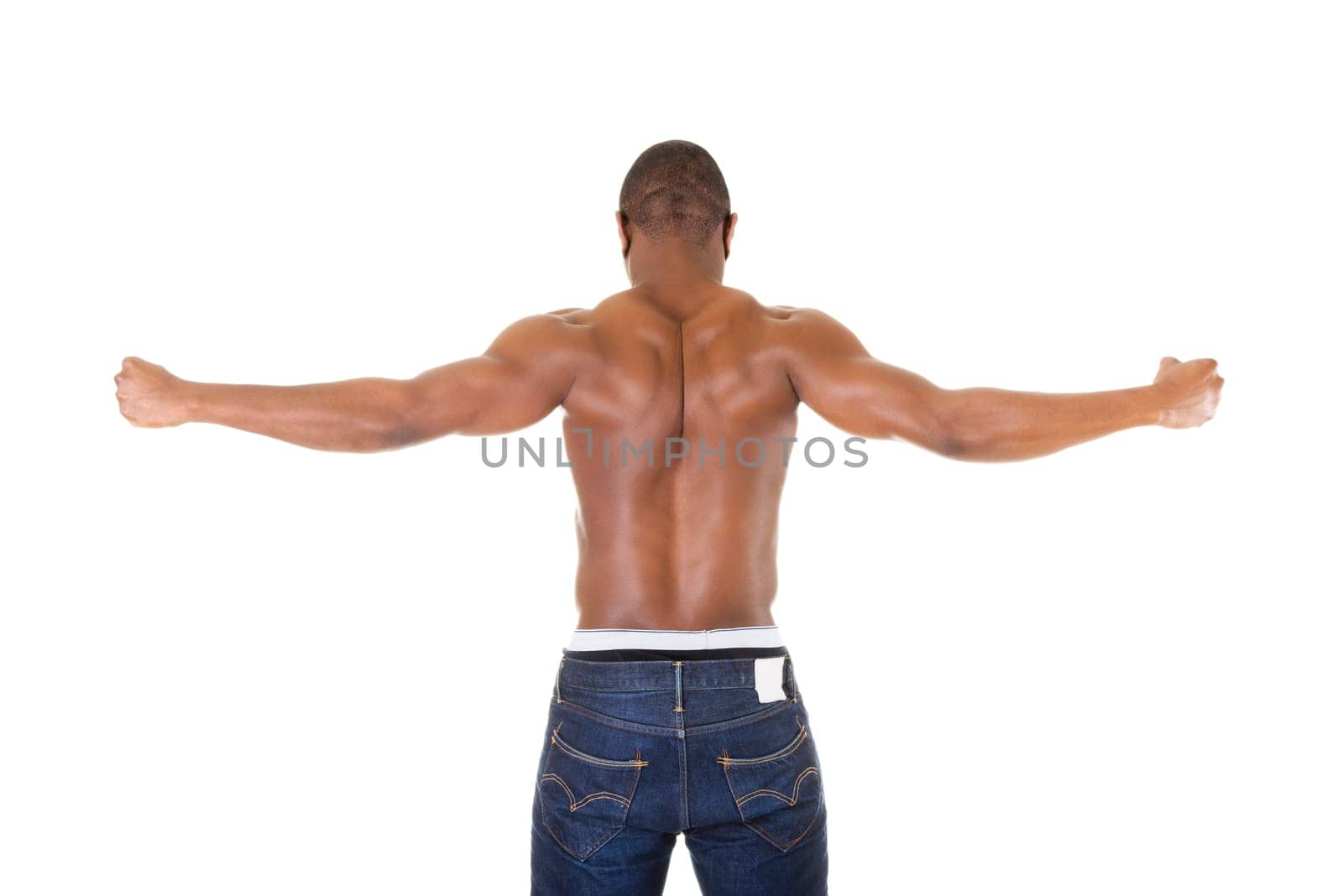 Muscular body, isolated on white