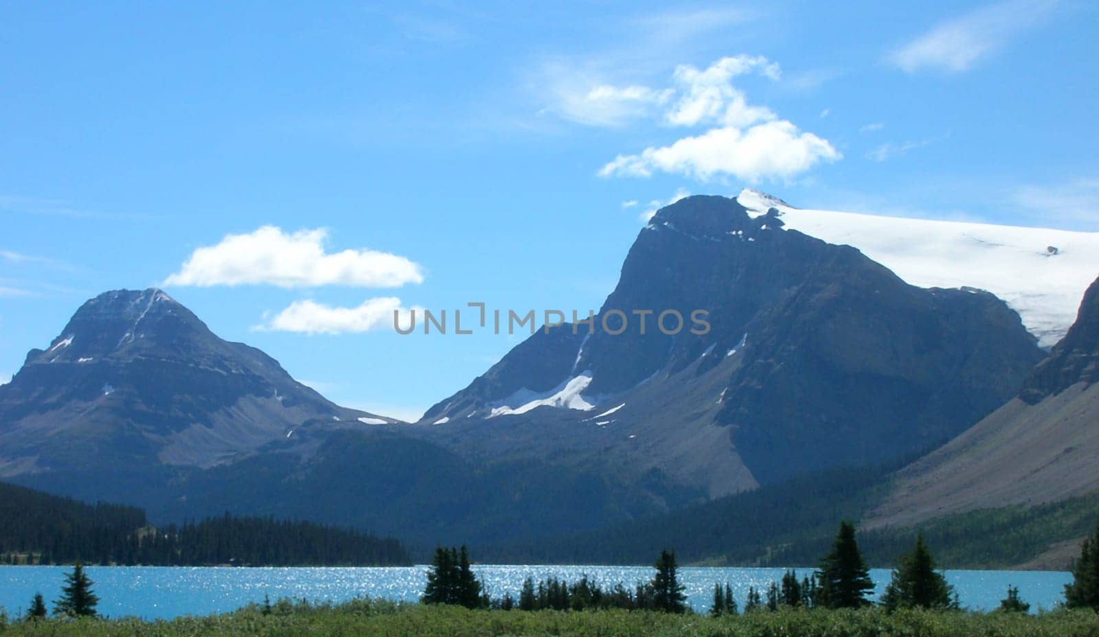 Canadian Rockies, grass foreground, lake, then mountains with glaciers