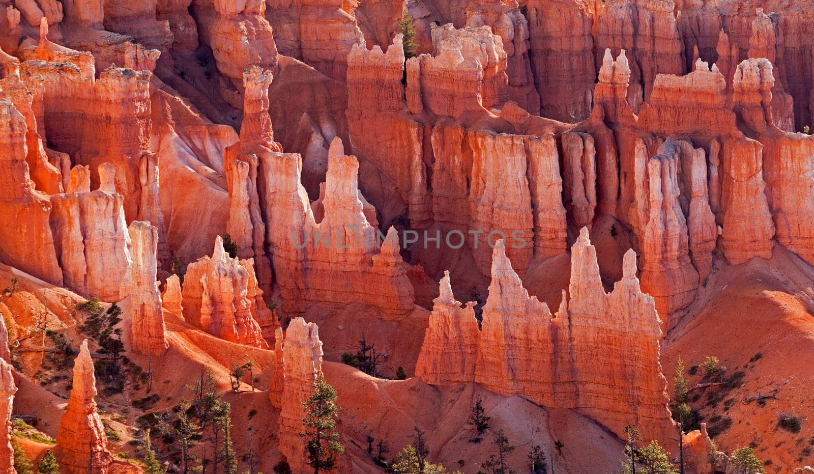 Bryce Canyon NP