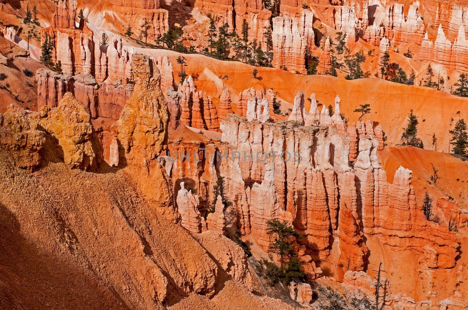 Bryce Canyon NP