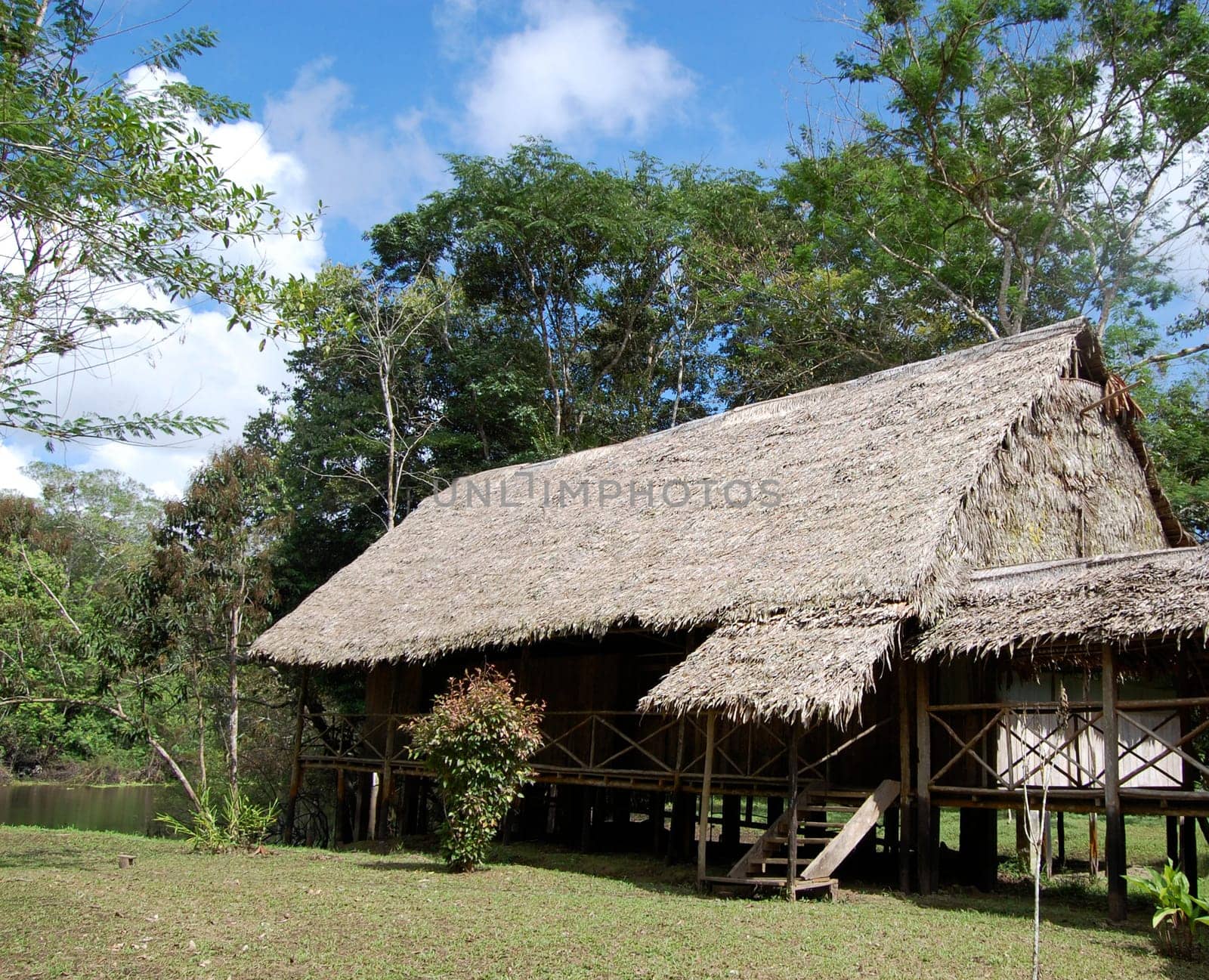 Amazon jungle lodge