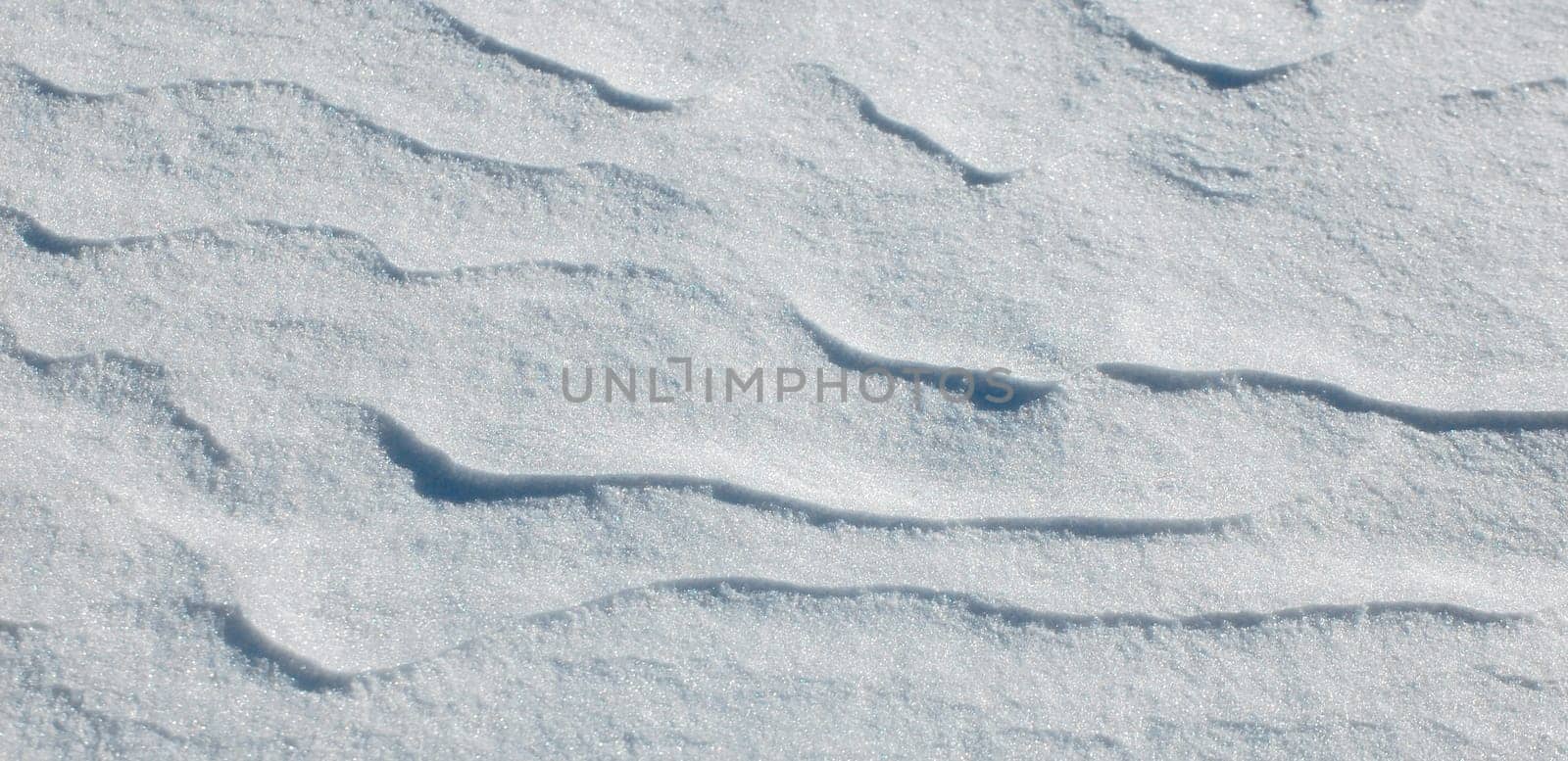 windblown snow background I, white winter scene