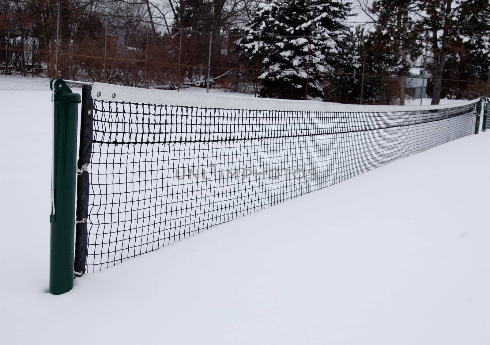 Tennis court in the snow with trees in background