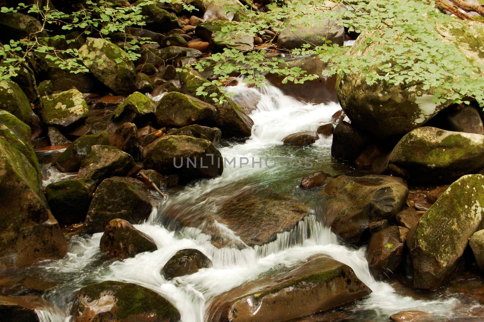 Smoky Mountains river on rocks, Big Creek trail