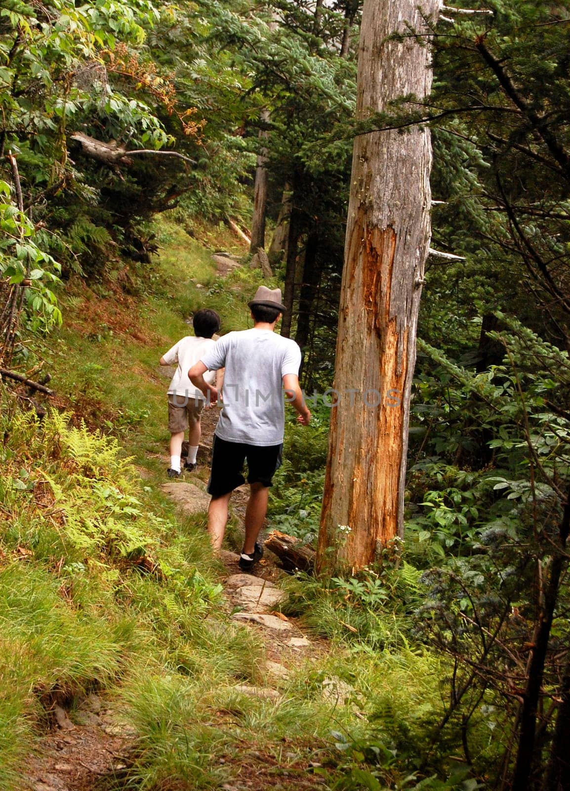 Boys running through a trail in the Appalachian trail in the Smoky mountains