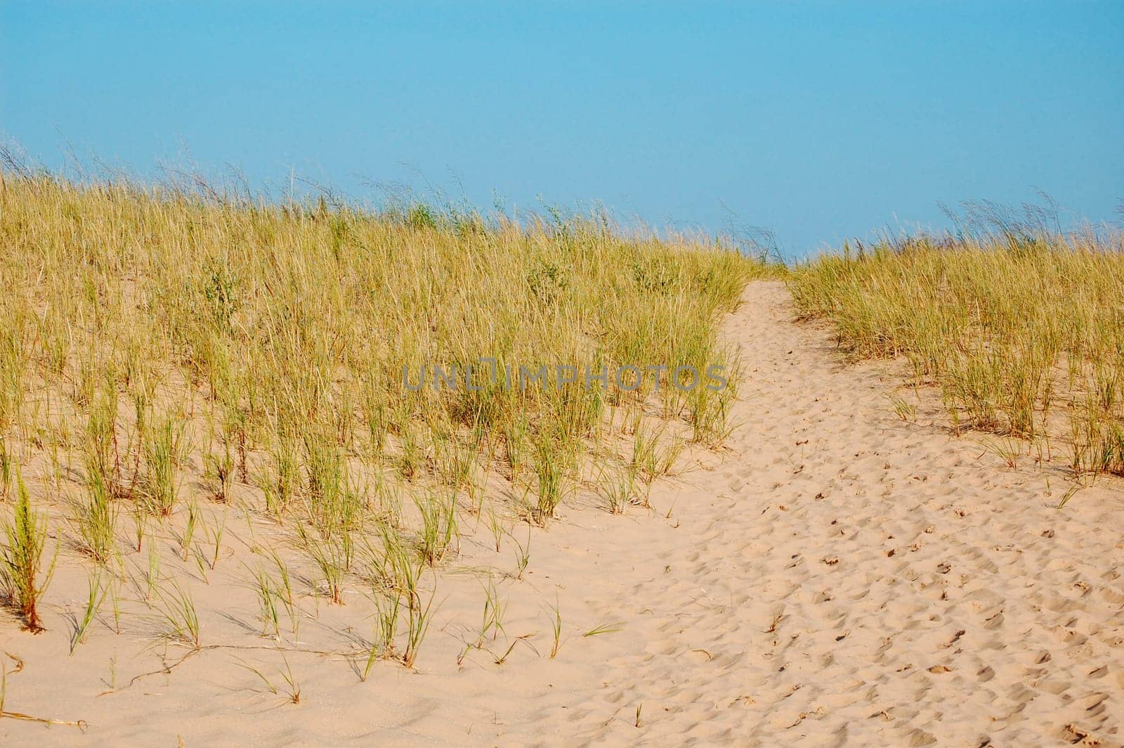 Dune path, Sleeping bear dunes, Michigan - horizontal