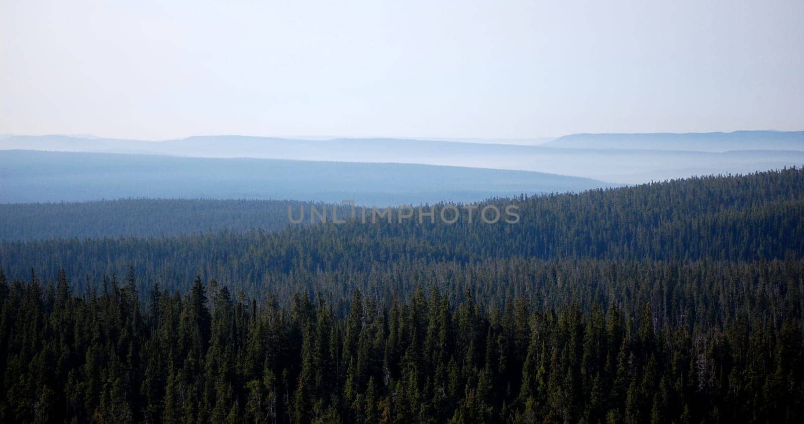 Yellowstone forest valleys with many layers going into the distance