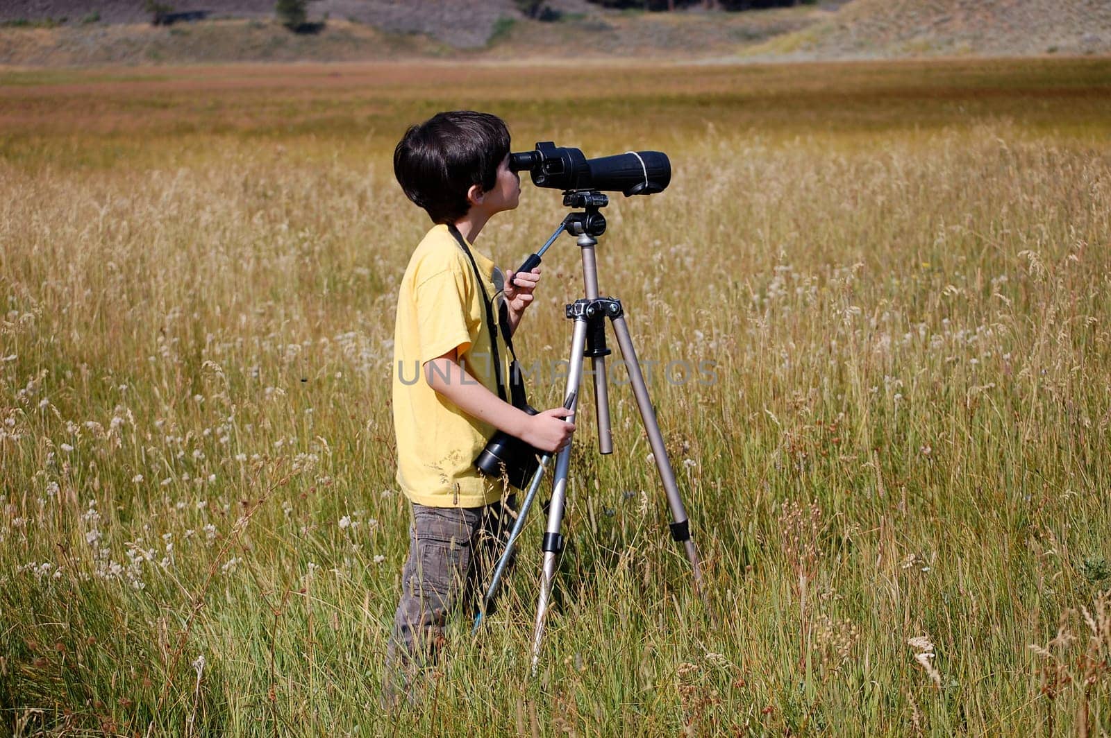 Yellowstone prairie nature lover