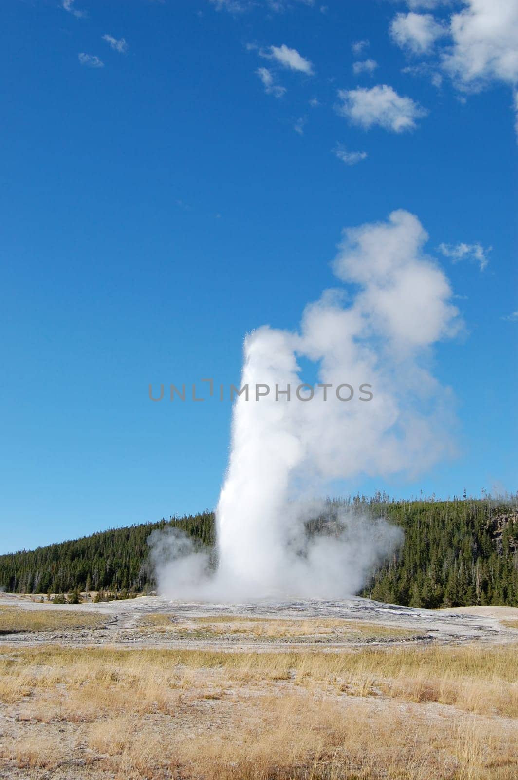 Old Faithful with fields and forest clouds on right