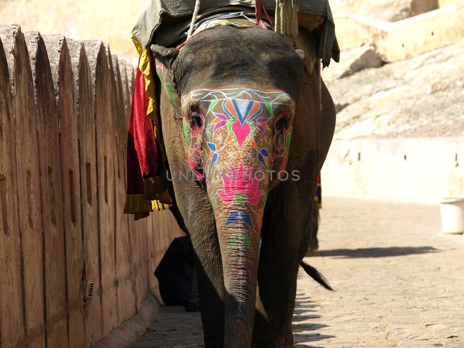 painted elephant in Jaipur,India